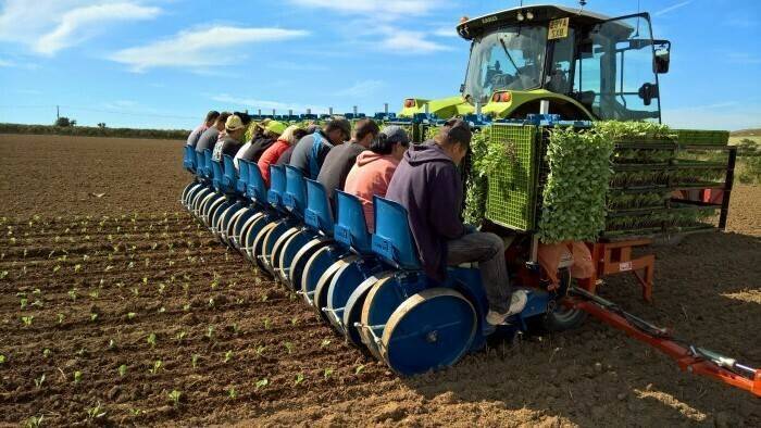 Ferrari-Transplanter-1|Ferrari-transplanter-2|Ferrari-FMAX-transplanter